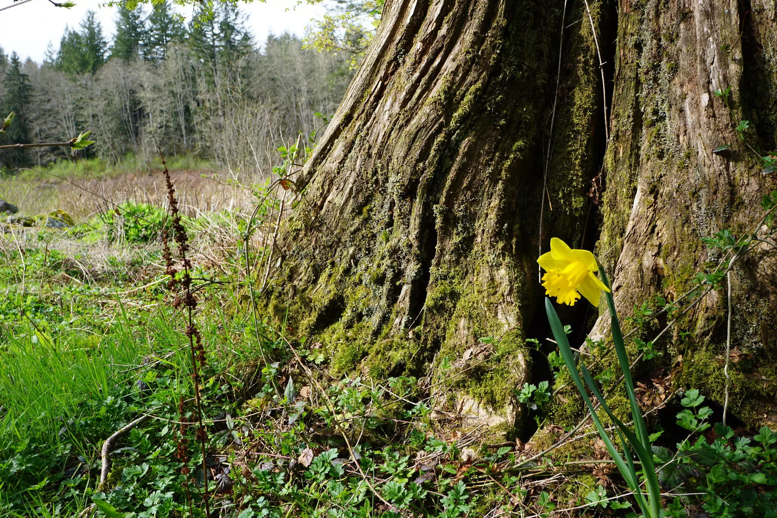 on-refundable deposit to secure your spot