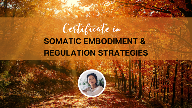 January - February 2023 - Certificate in Somatic Strategies - Level 1