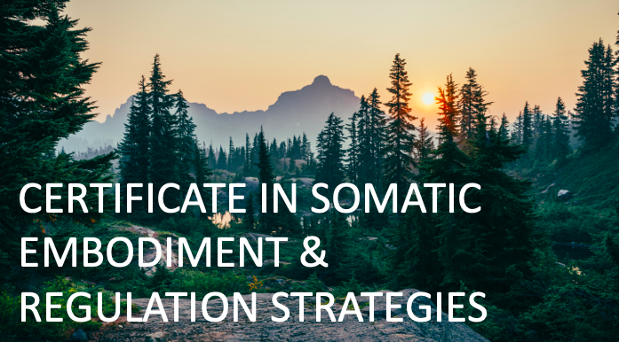 March/April Certificate in Somatic Embodiment & Regulation Strategies: Level 3