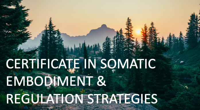 Certificate in Somatic Embodiment & Regulation Strategies: All Levels