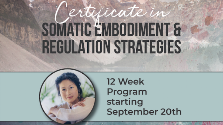 12 Week - Certificate in Somatic Strategies - All Levels