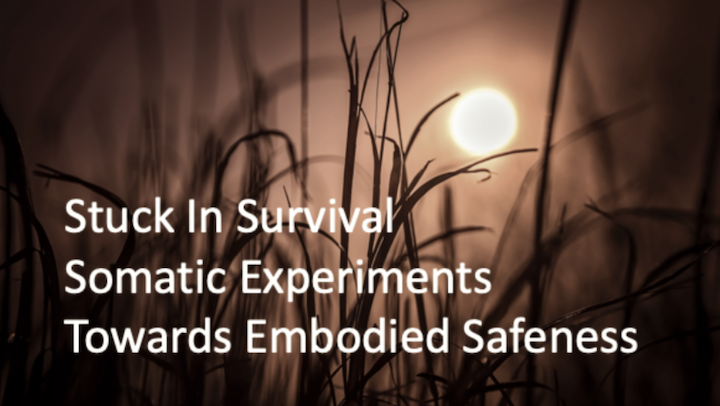 Stuck in Survival: Somatic Experiments Towards Embodied Safeness