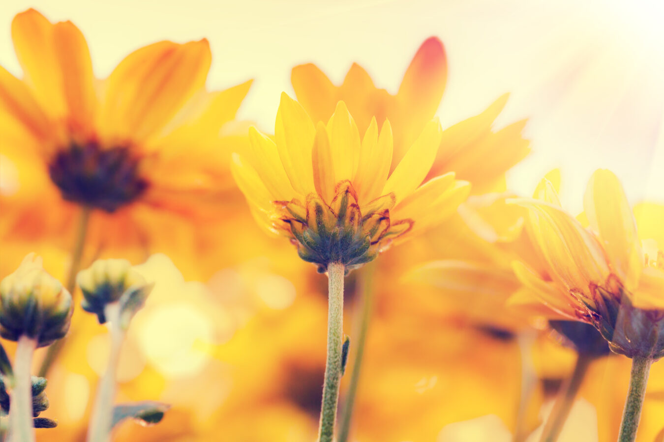 On demand Voice Keeps