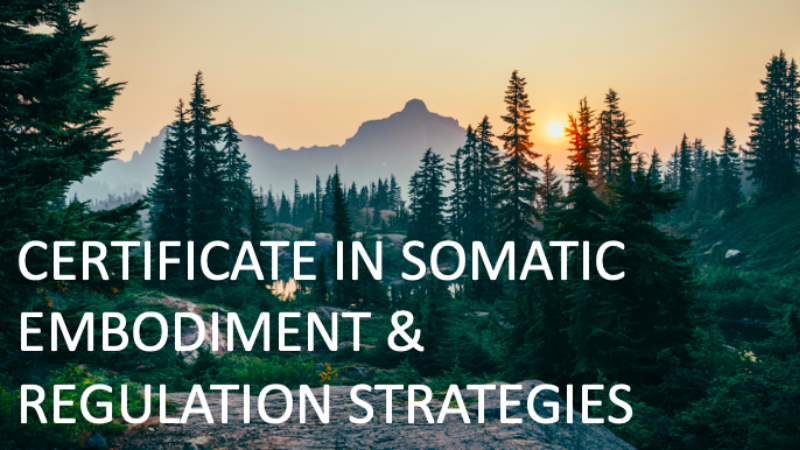 Certificate in Somatic Embodiment & Regulation Strategies: All Levels