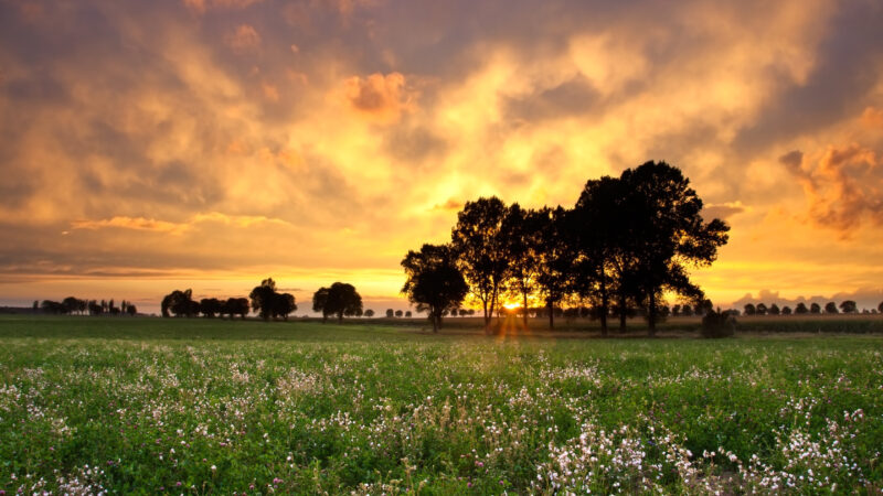 Beautiful sunset with dramatic sky on field or meadow SBI 300863023