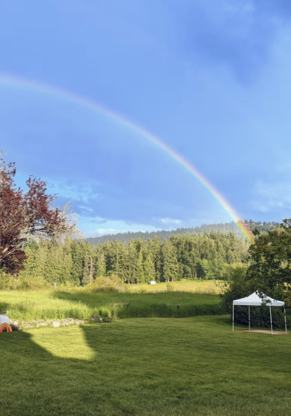 Meadows rainbow