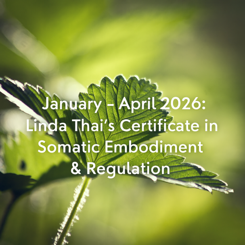 Linda Thais Certificate in Somatic Embodiment Regulation image