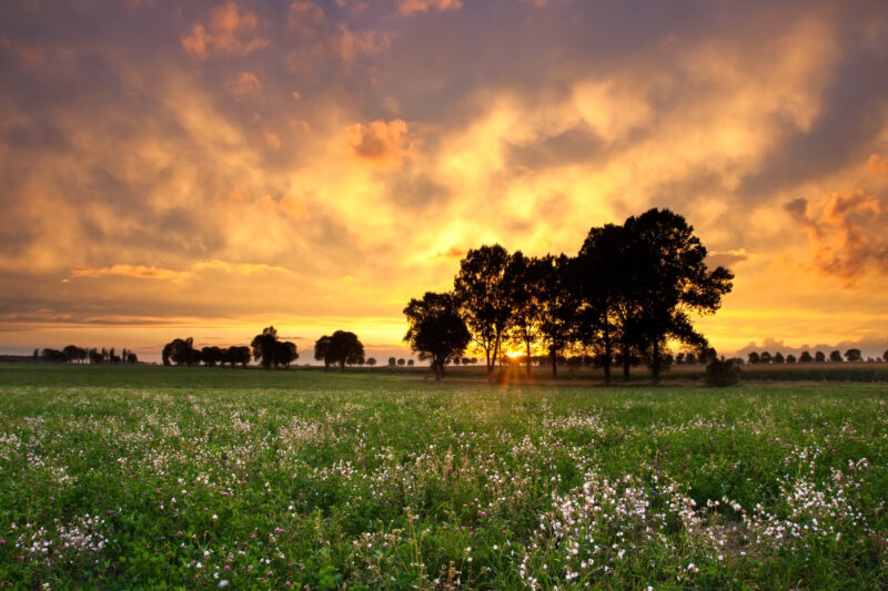 Beautiful sunset with dramatic sky on field or meadow SBI 300863023