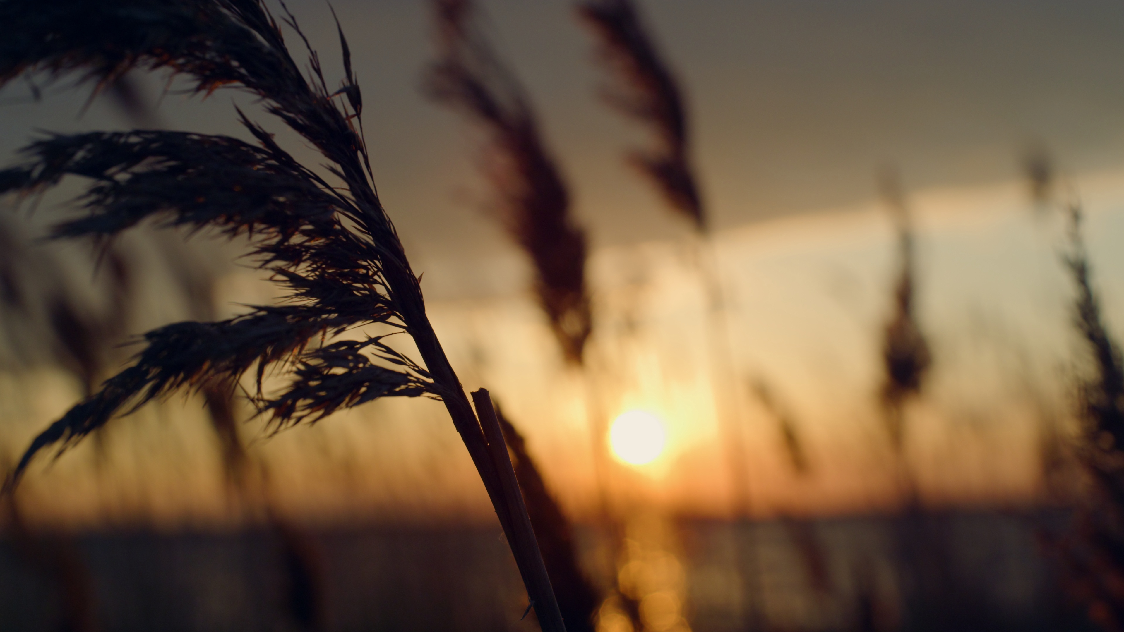 Balance 2 - Supported Tier