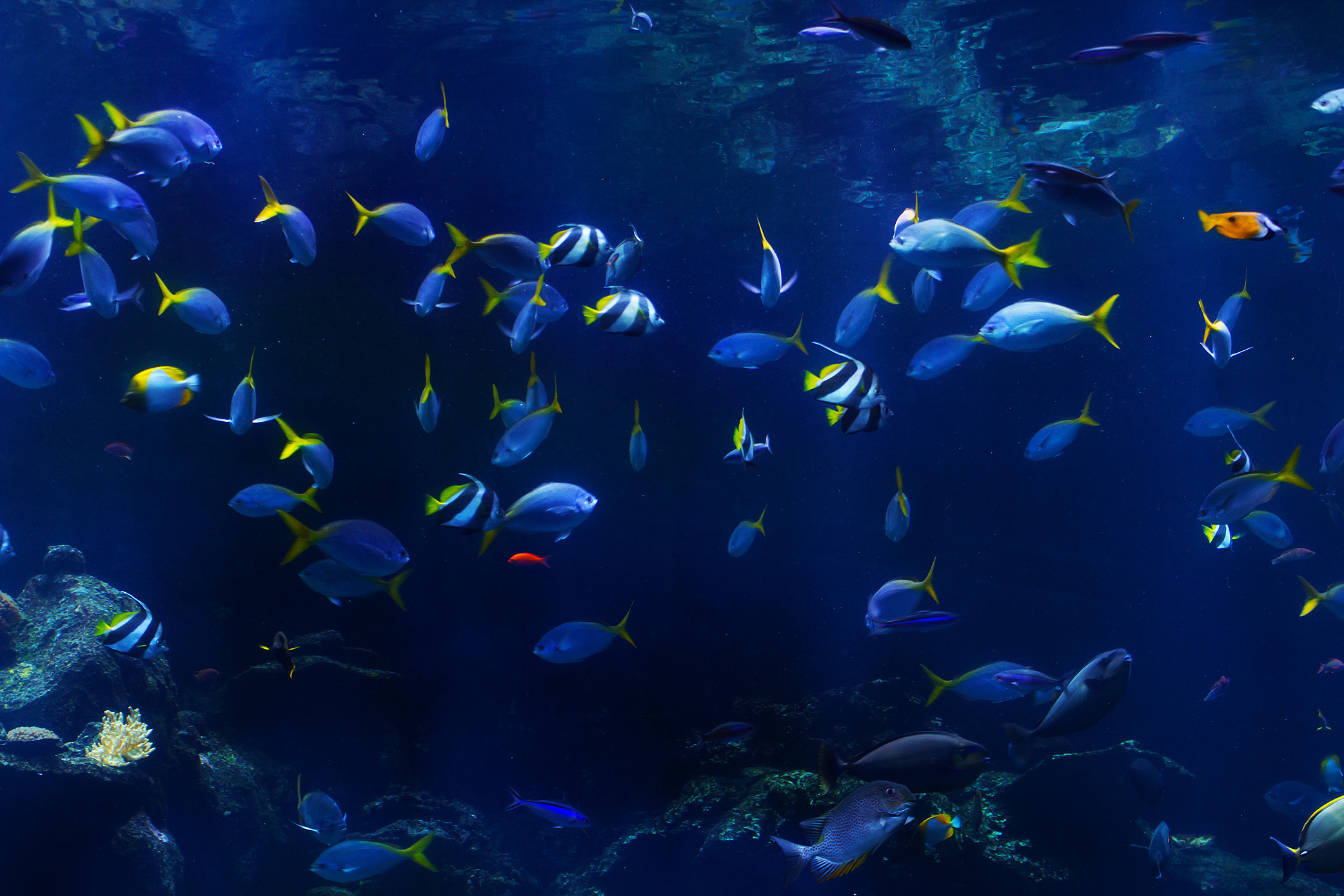 Community Somatic Practice Group